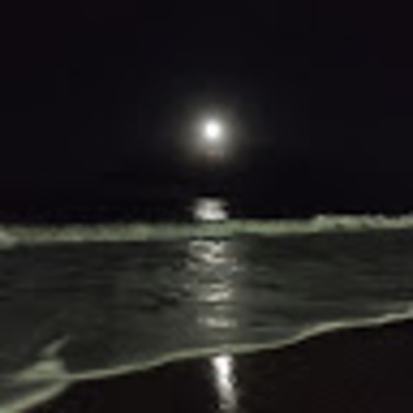 Meet your Posher, Linaa - Picture 1 of 1